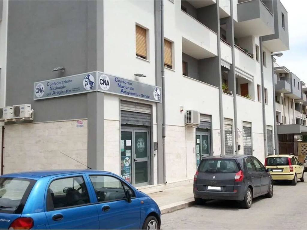 immagine annuncio 1 di 4