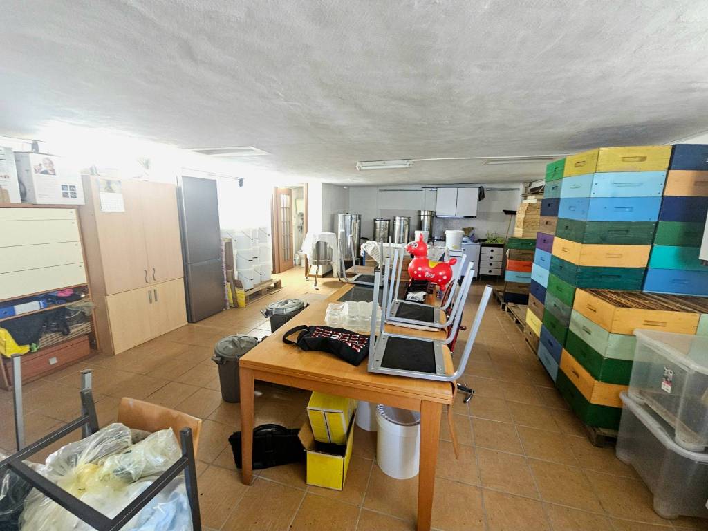 immagine annuncio 1 di 4