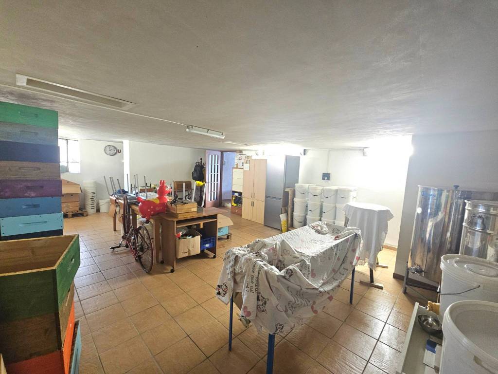 immagine annuncio 2 di 4