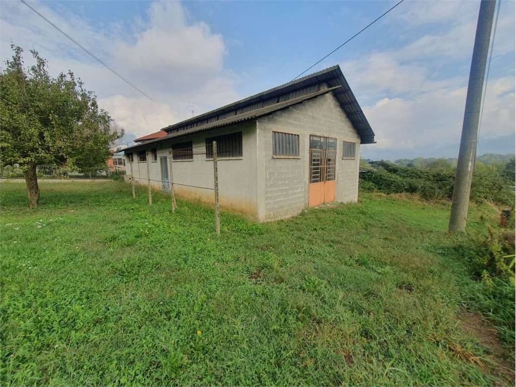 immagine annuncio 0 di 5