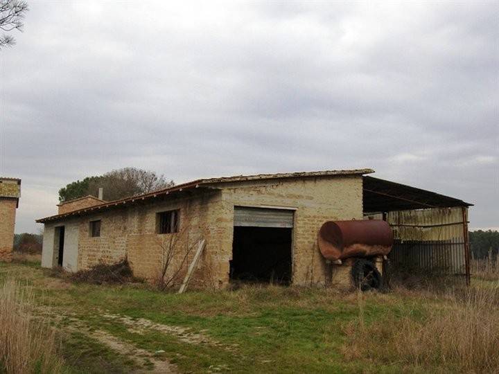 immagine annuncio 2 di 4