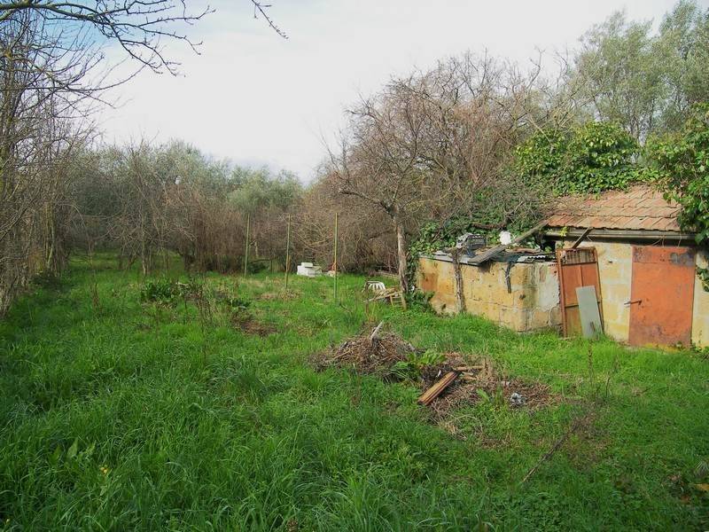 immagine annuncio 2 di 3