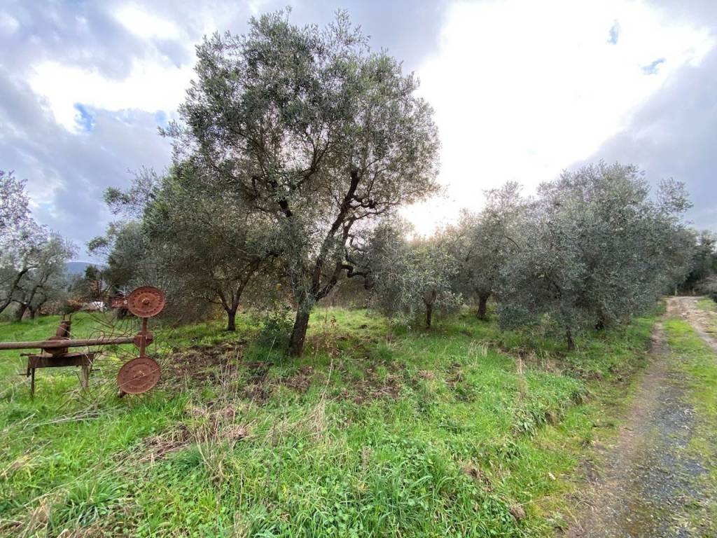 immagine annuncio 1 di 3