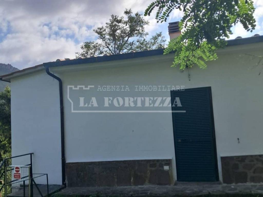 immagine annuncio 2 di 4