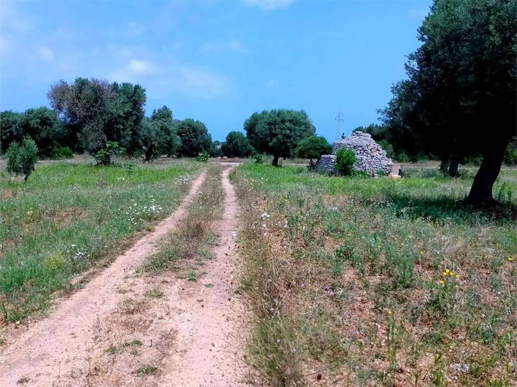 immagine annuncio 2 di 3