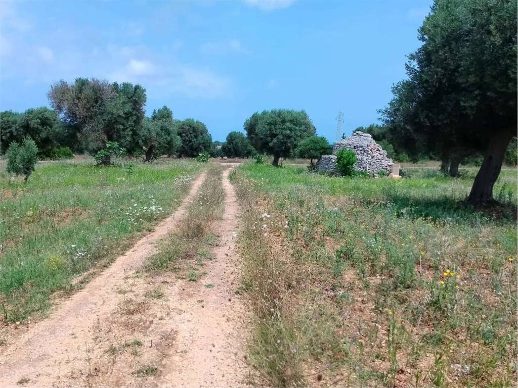 immagine annuncio 1 di 3