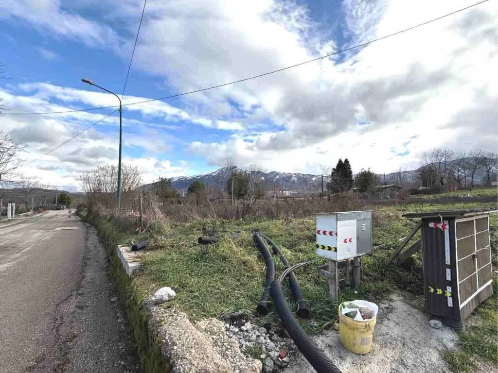immagine annuncio 2 di 4