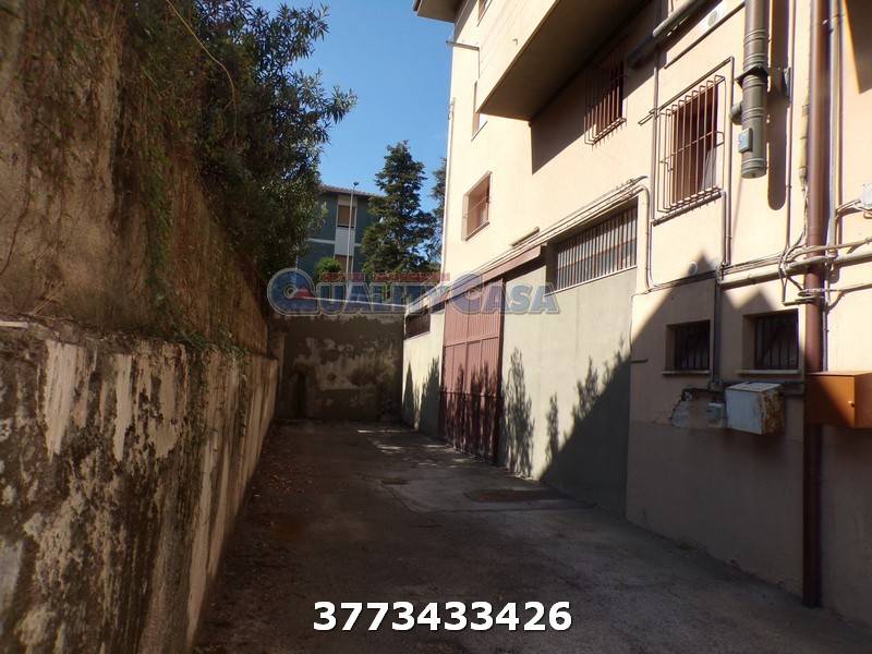 immagine annuncio 2 di 4