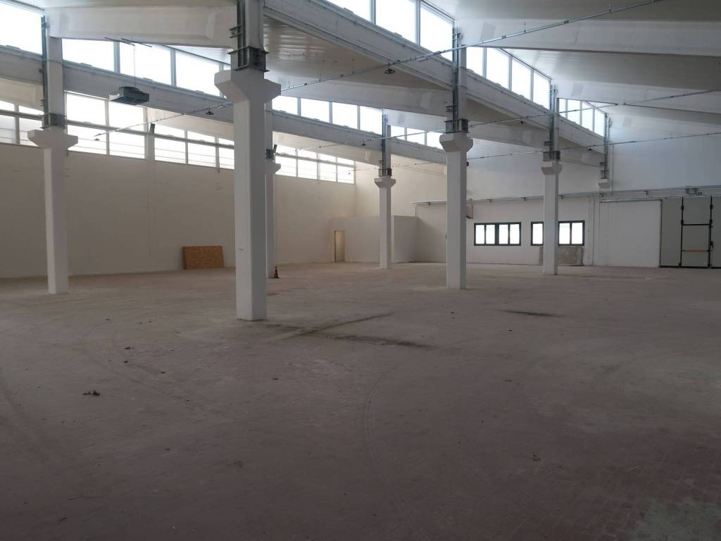 immagine annuncio 4 di 5