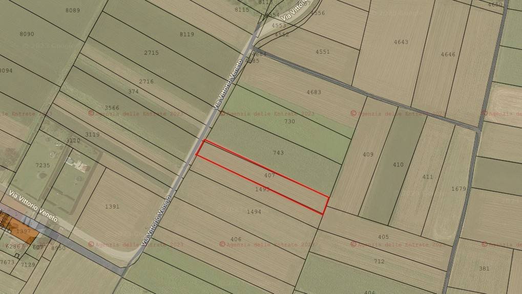 immagine annuncio 1 di 4