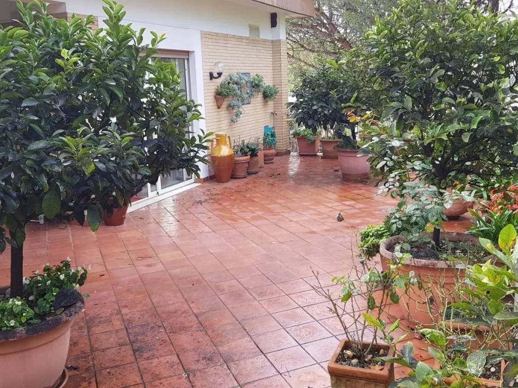 immagine annuncio 1 di 4