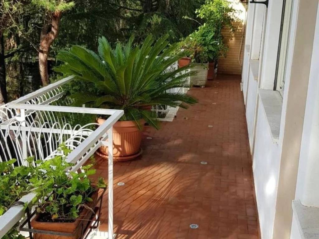 immagine annuncio 2 di 4