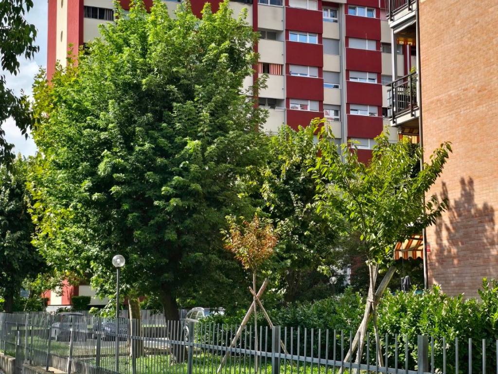 immagine annuncio 2 di 3