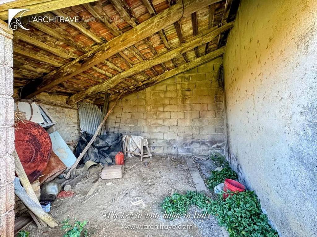 immagine annuncio 2 di 3