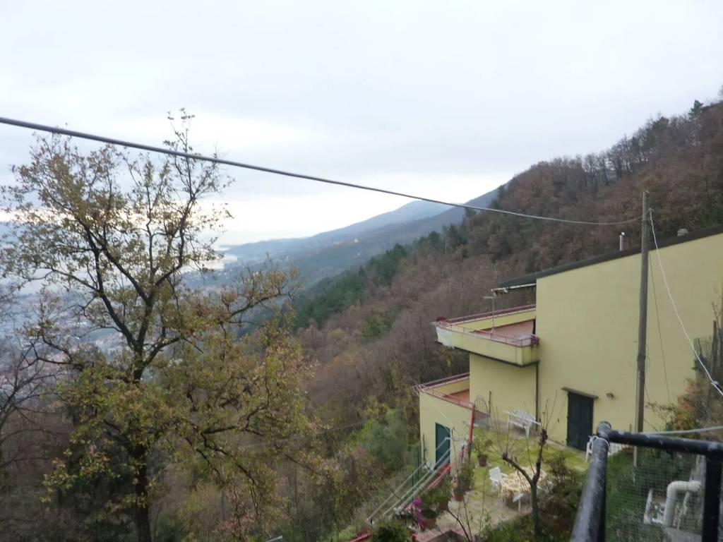 immagine annuncio 1 di 4