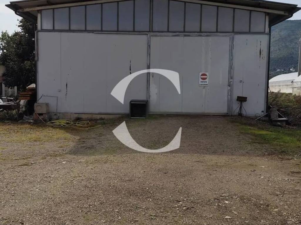 immagine annuncio 2 di 3