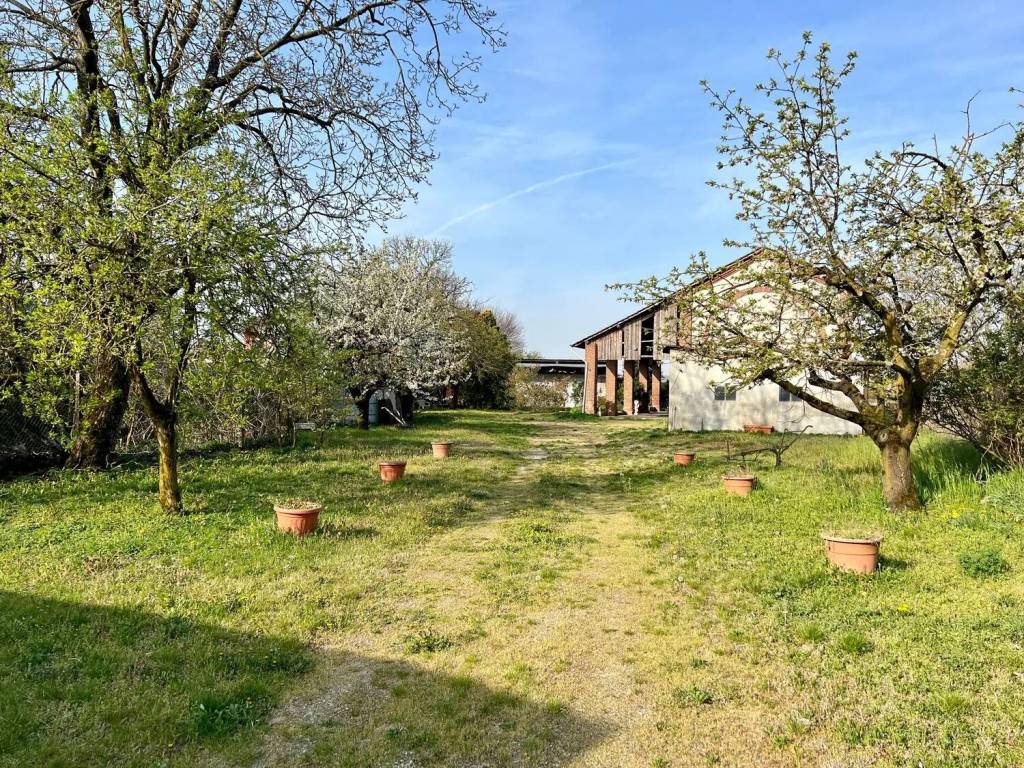 immagine annuncio 4 di 5