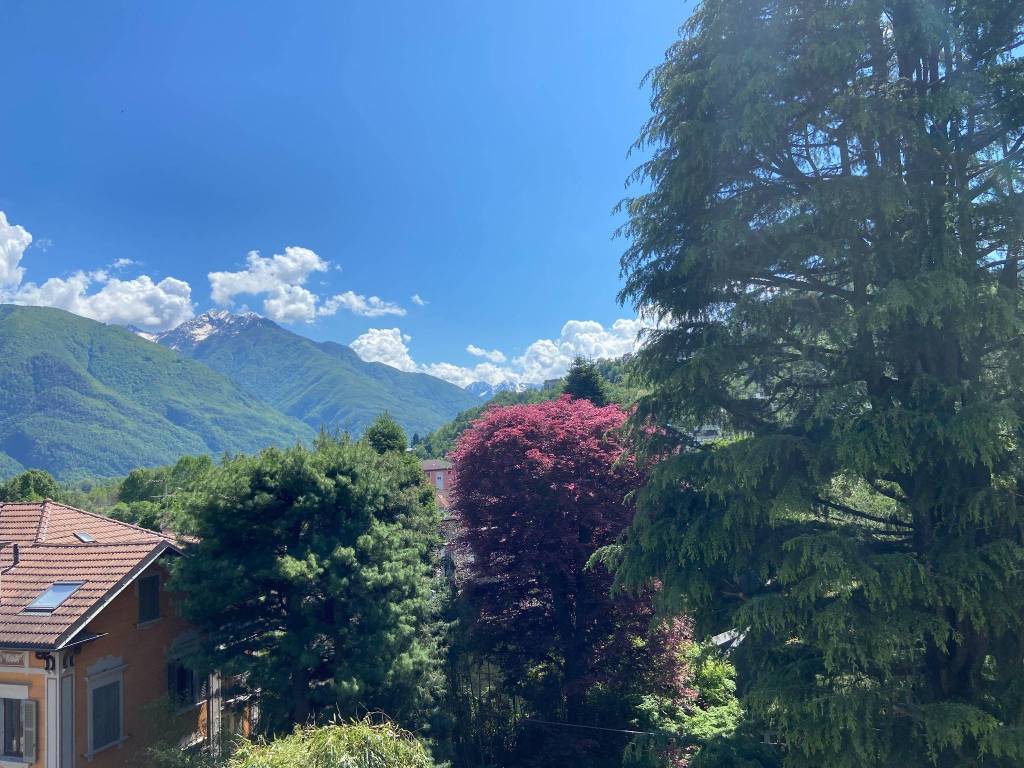 immagine annuncio 2 di 3