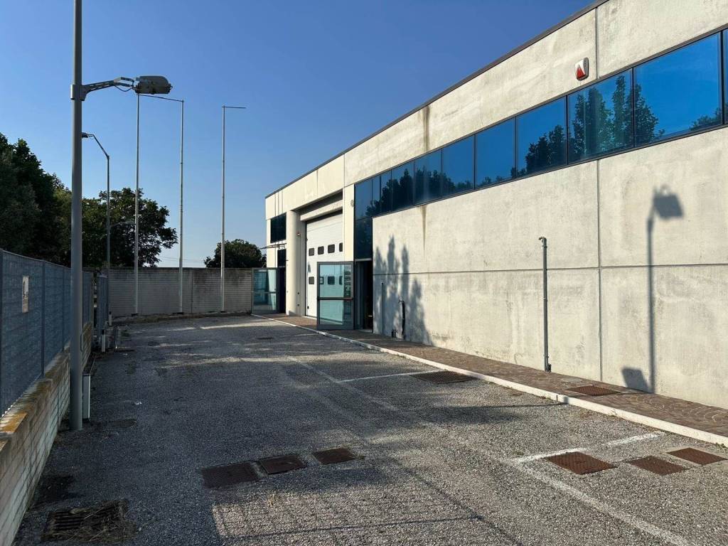 immagine annuncio 4 di 5