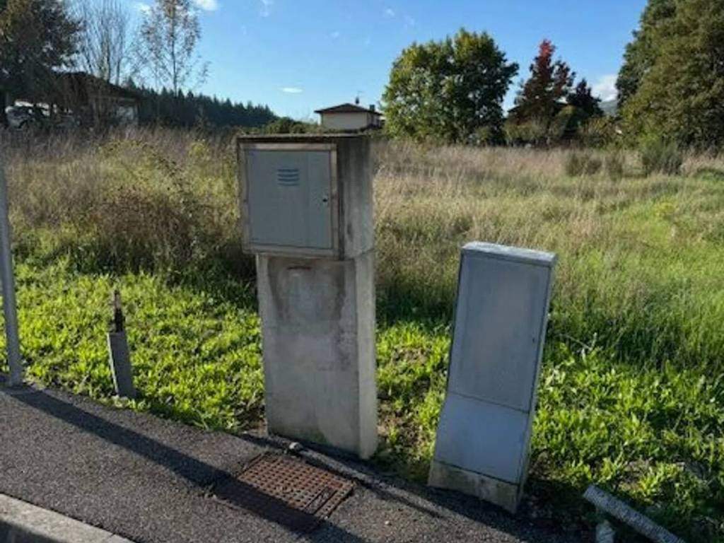 immagine annuncio 2 di 3