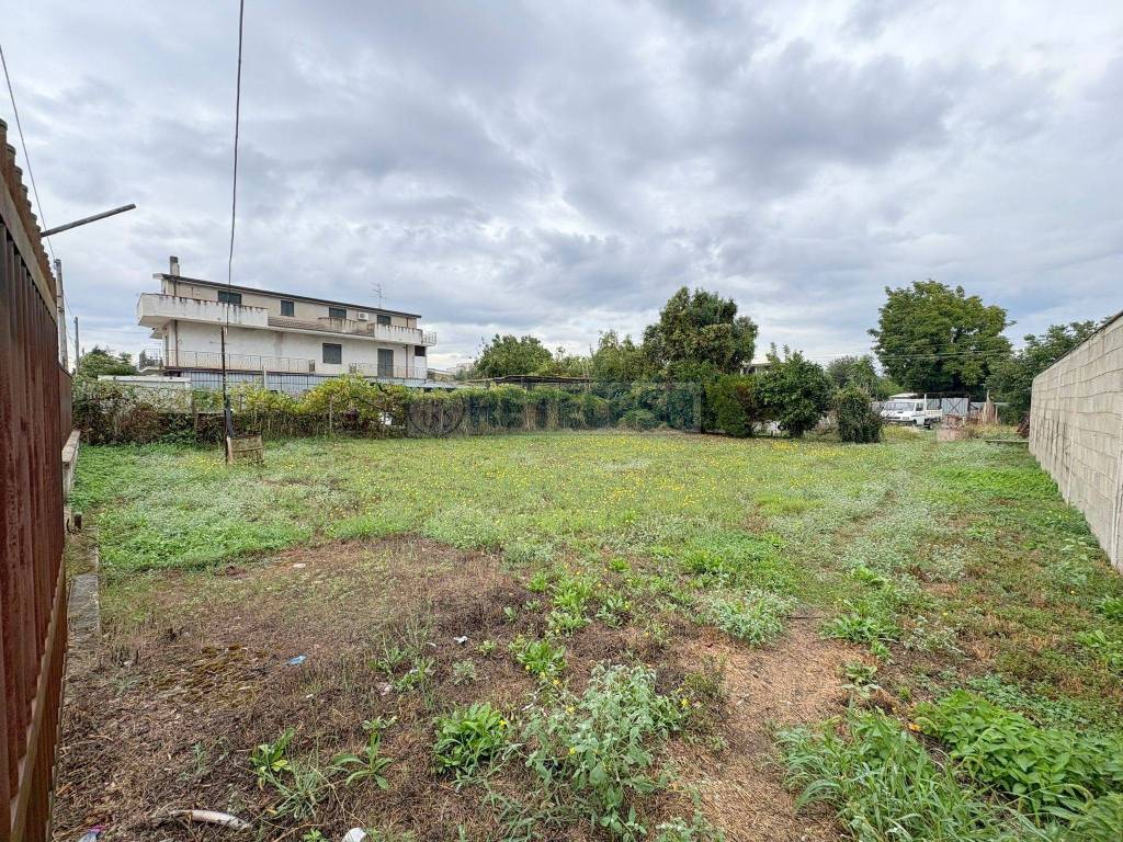 immagine annuncio 3 di 4