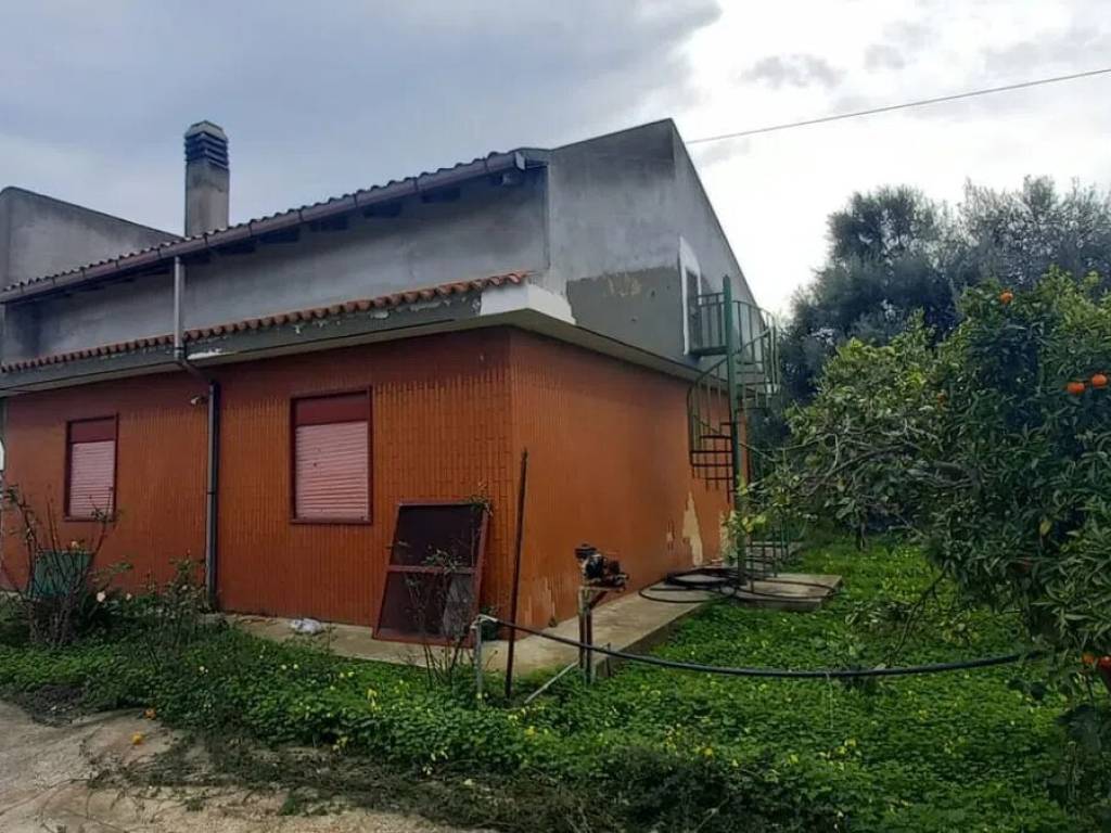 immagine annuncio 1 di 4