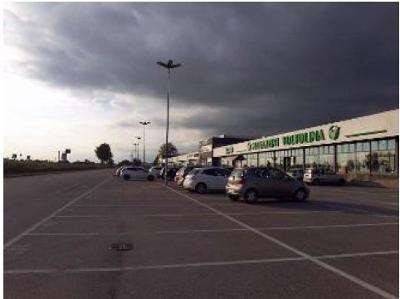 immagine annuncio 1 di 2