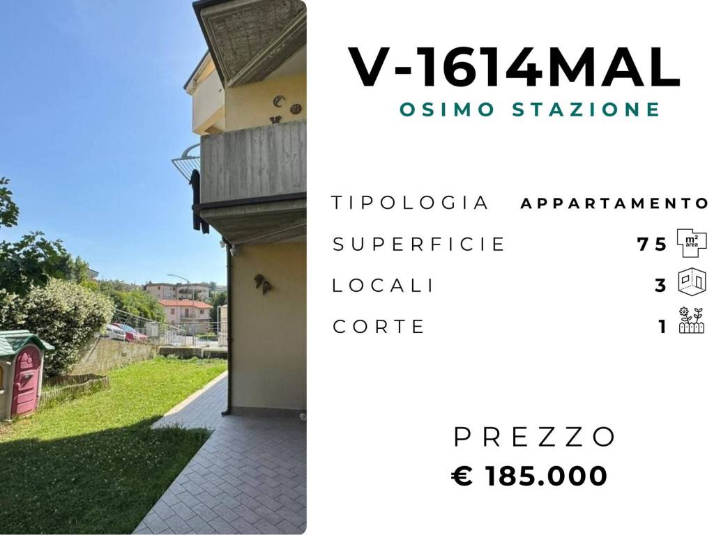 immagine annuncio 1 di 5