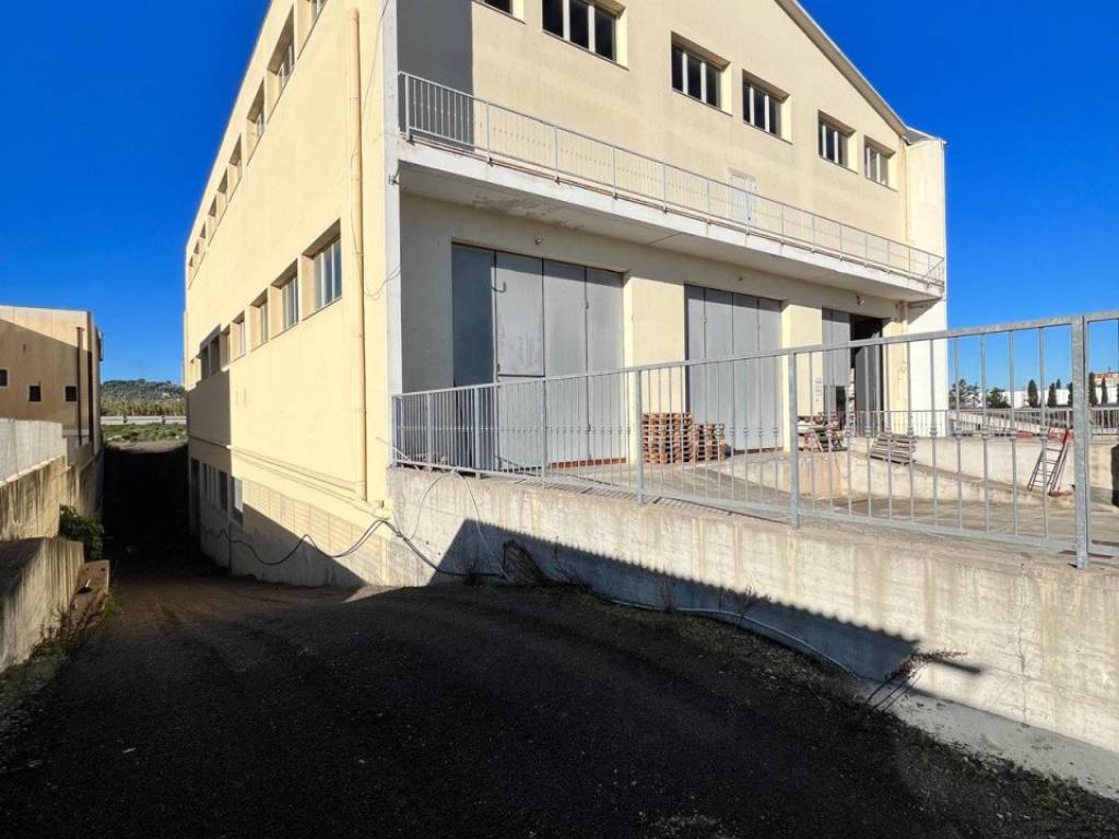 immagine annuncio 4 di 5