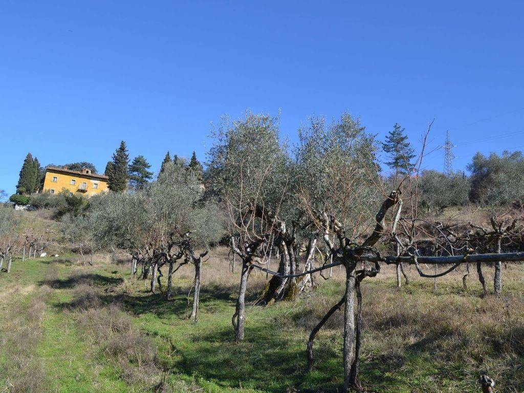 immagine annuncio 3 di 5