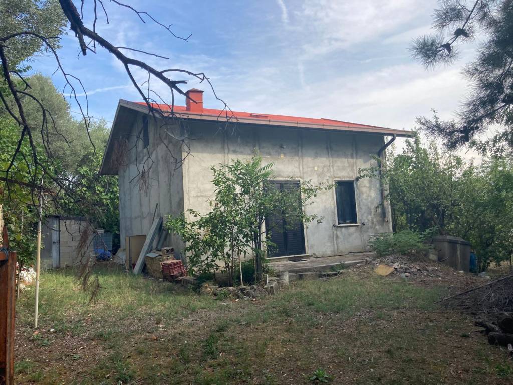 immagine annuncio 1 di 4