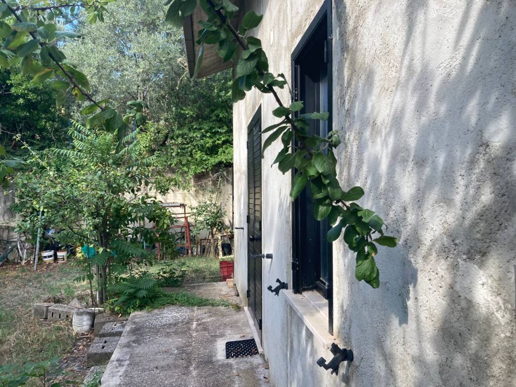 immagine annuncio 2 di 4