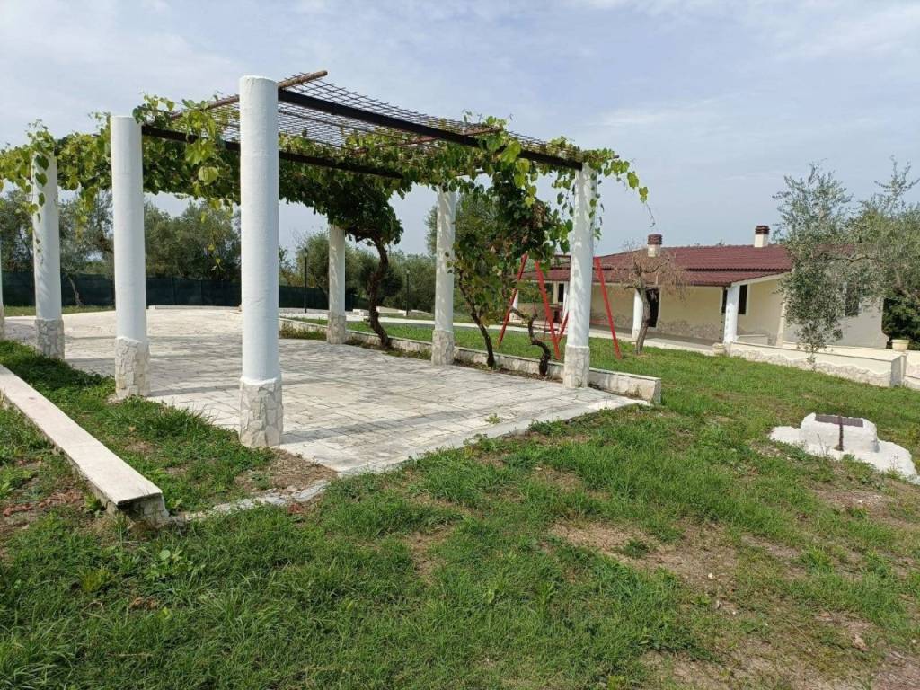 immagine annuncio 2 di 4