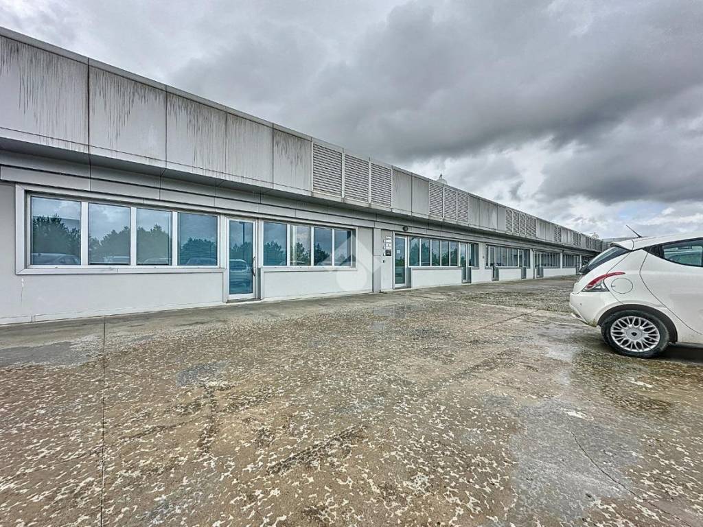 immagine annuncio 2 di 5