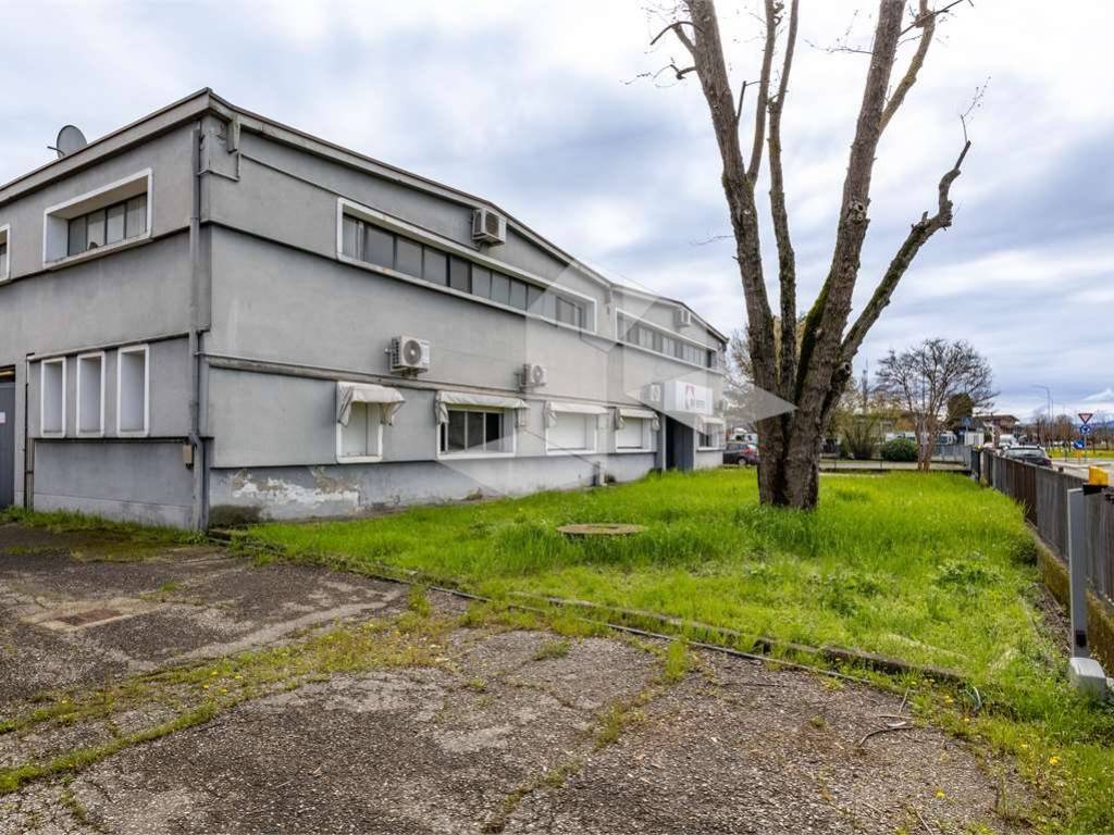 immagine annuncio 4 di 5