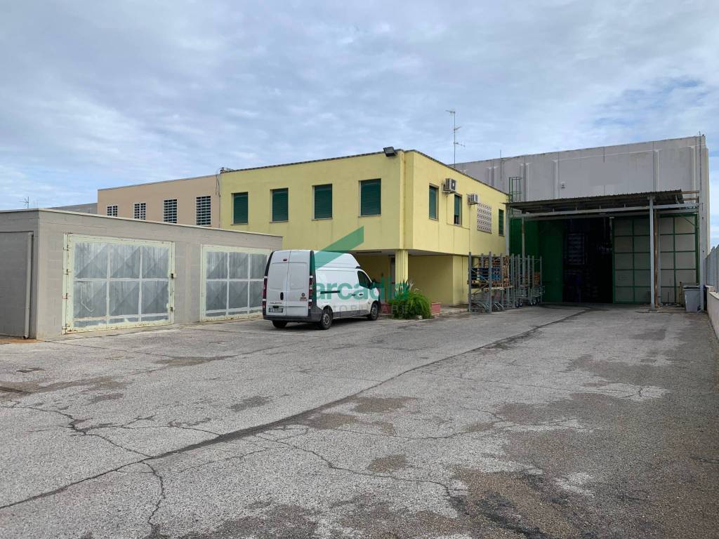 immagine annuncio 1 di 5