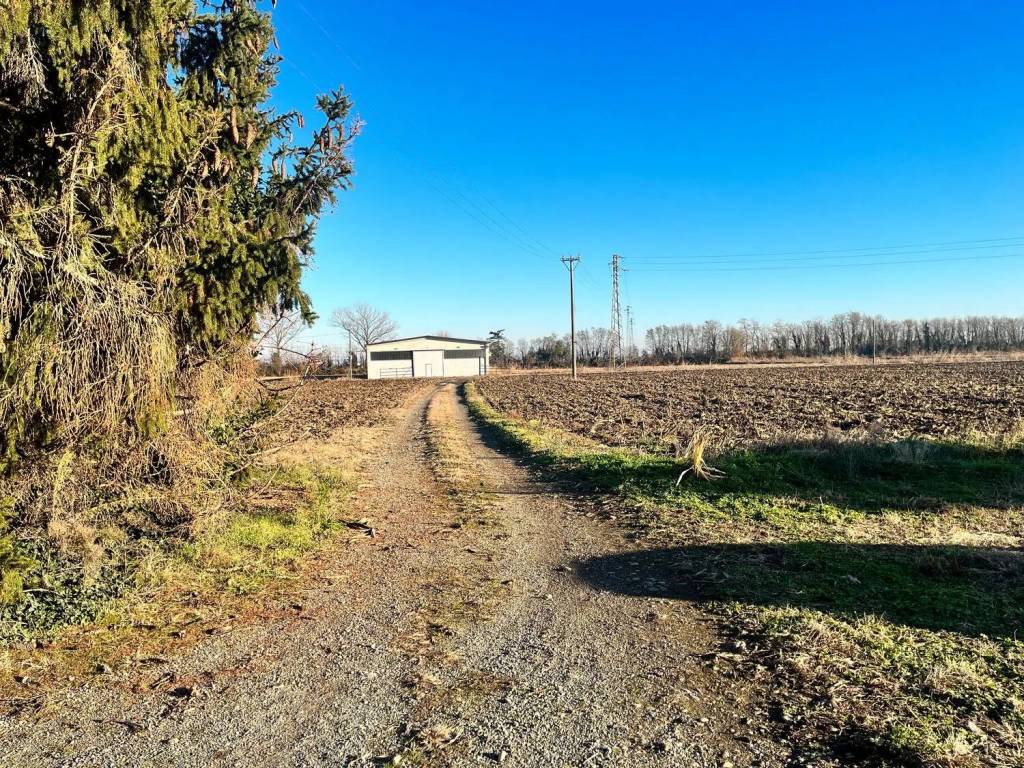 immagine annuncio 4 di 5