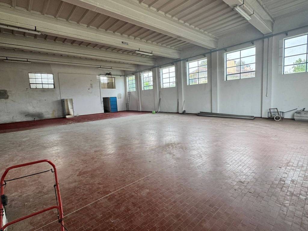 immagine annuncio 2 di 5