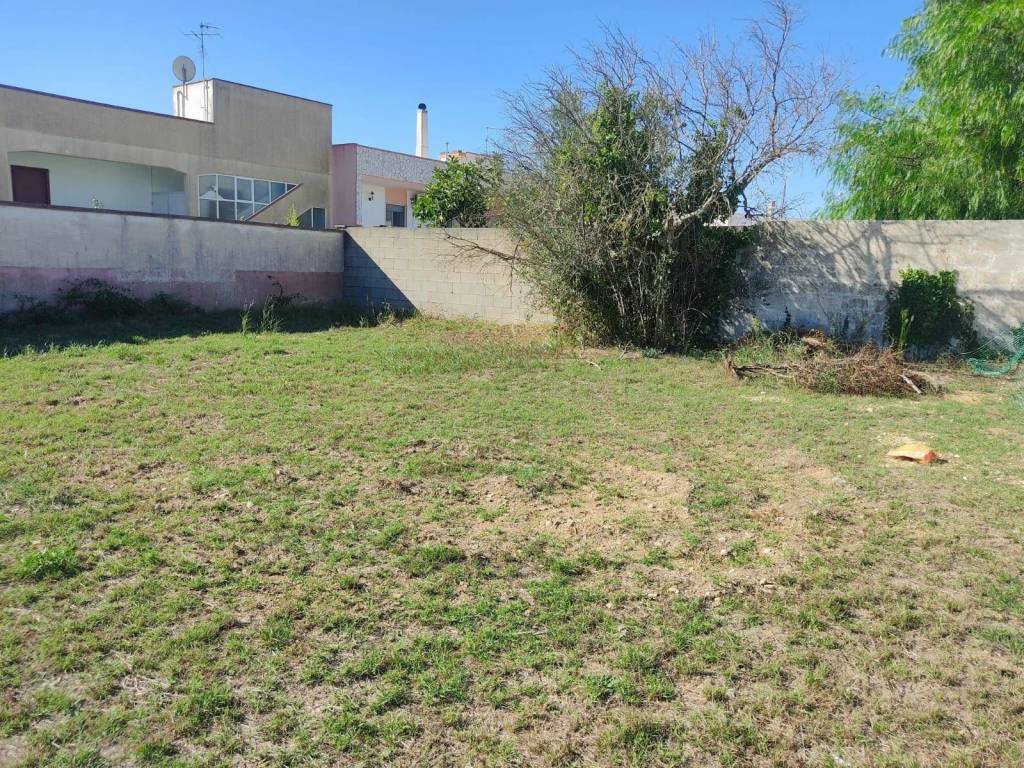 immagine annuncio 2 di 4