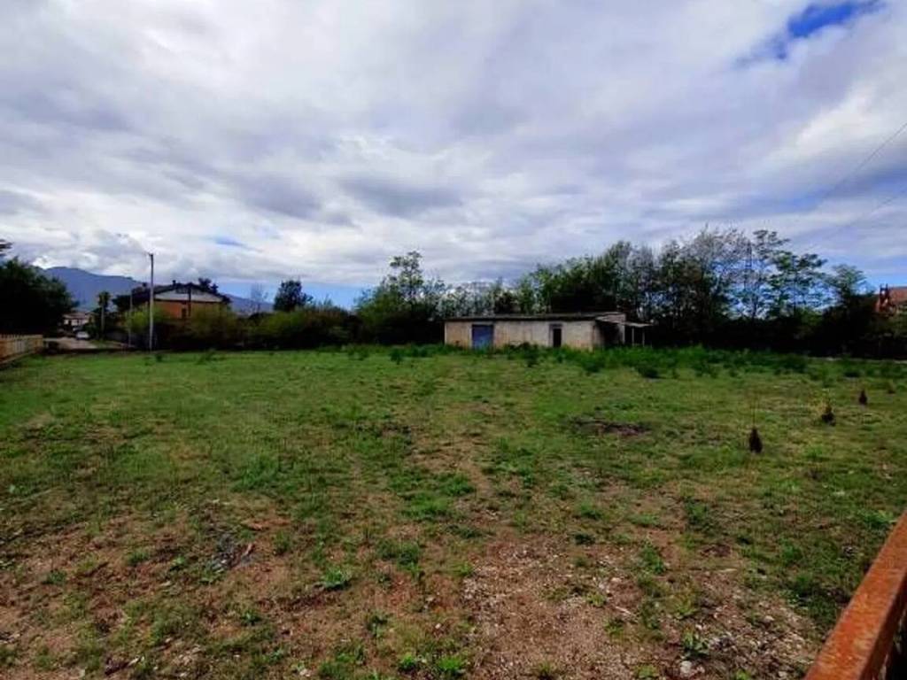 immagine annuncio 1 di 4