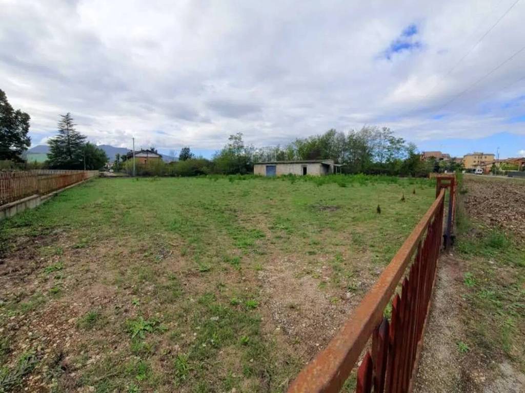 immagine annuncio 2 di 4