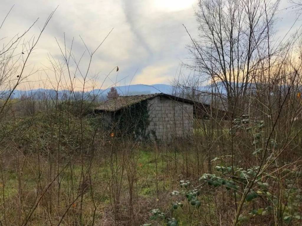 immagine annuncio 1 di 2