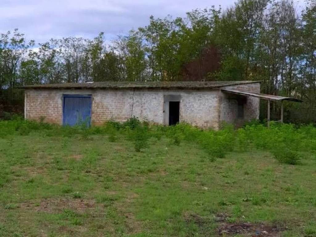 immagine annuncio 3 di 4