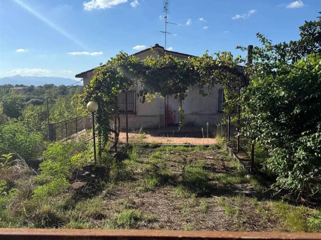 immagine annuncio 1 di 3