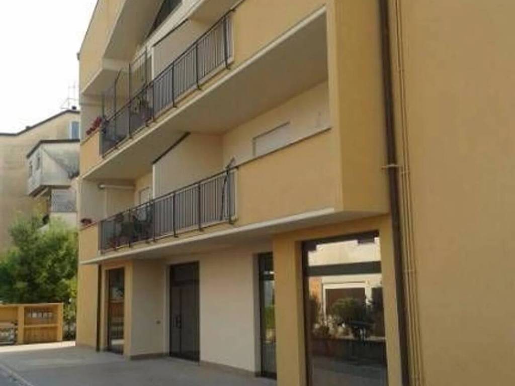 immagine annuncio 1 di 2