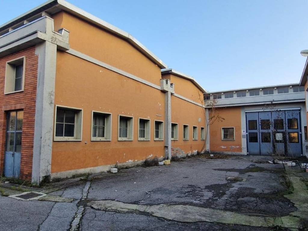 immagine annuncio 3 di 5
