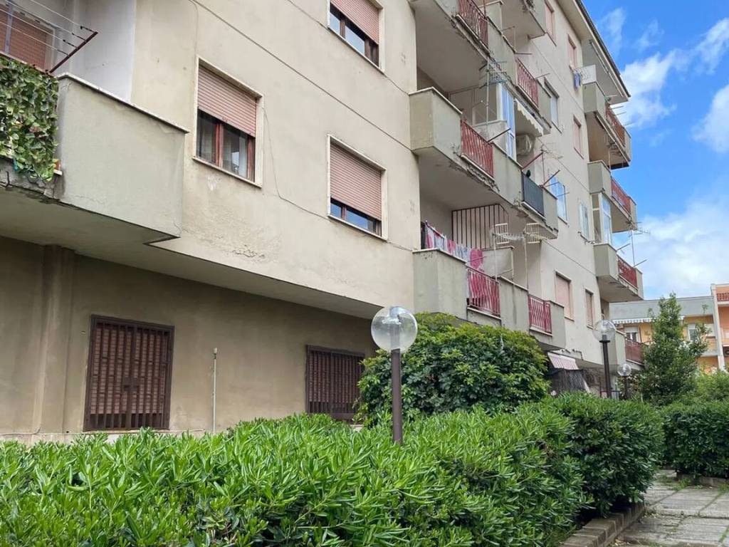 immagine annuncio 1 di 3