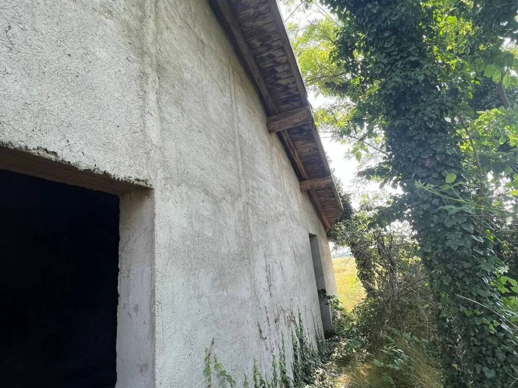 immagine annuncio 1 di 4