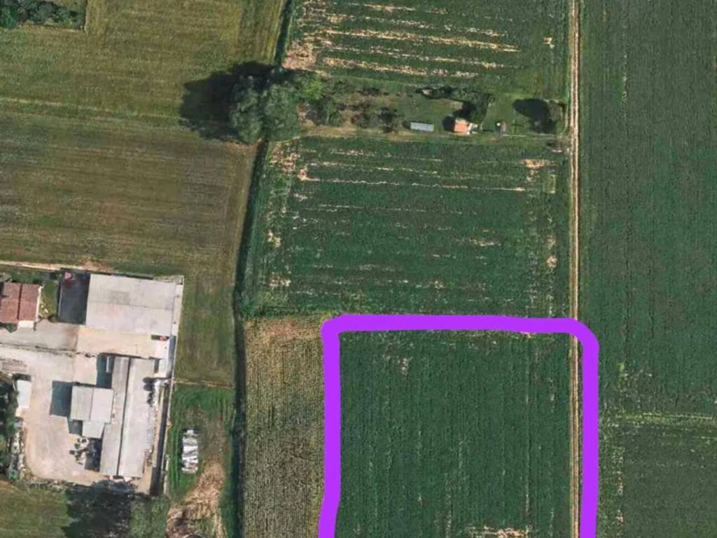 immagine annuncio 2 di 4