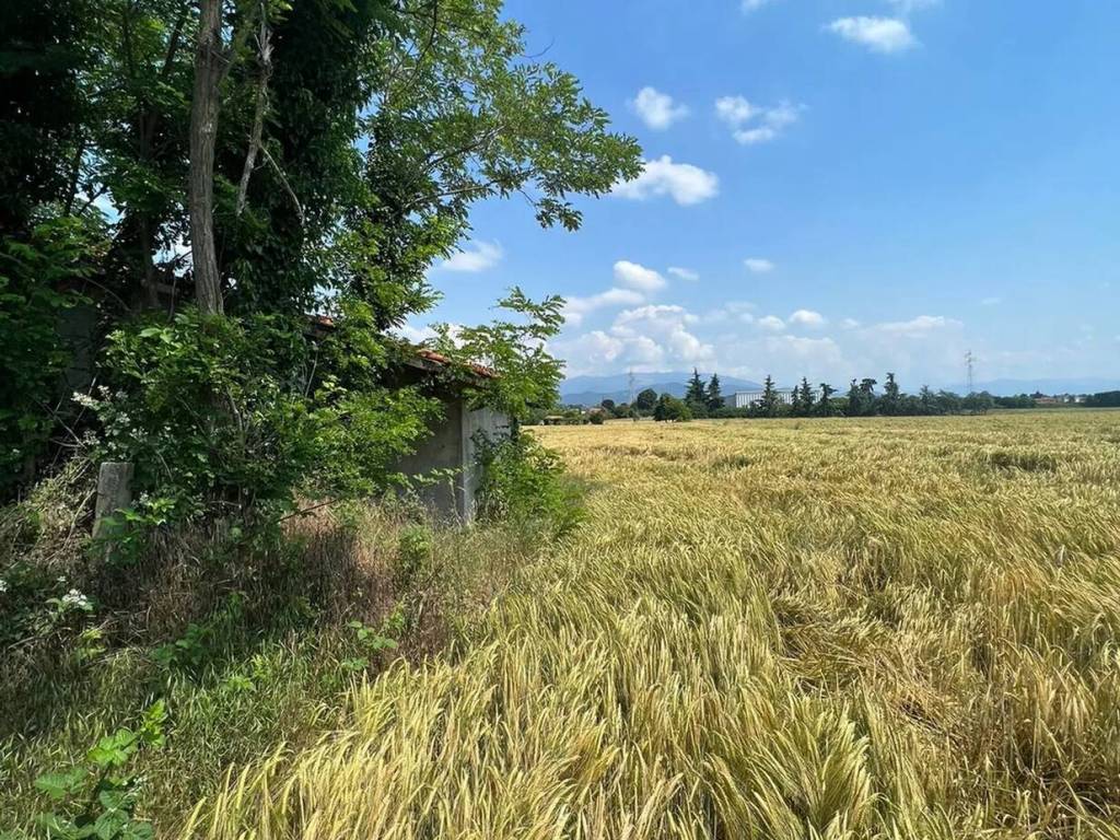 immagine annuncio 3 di 4